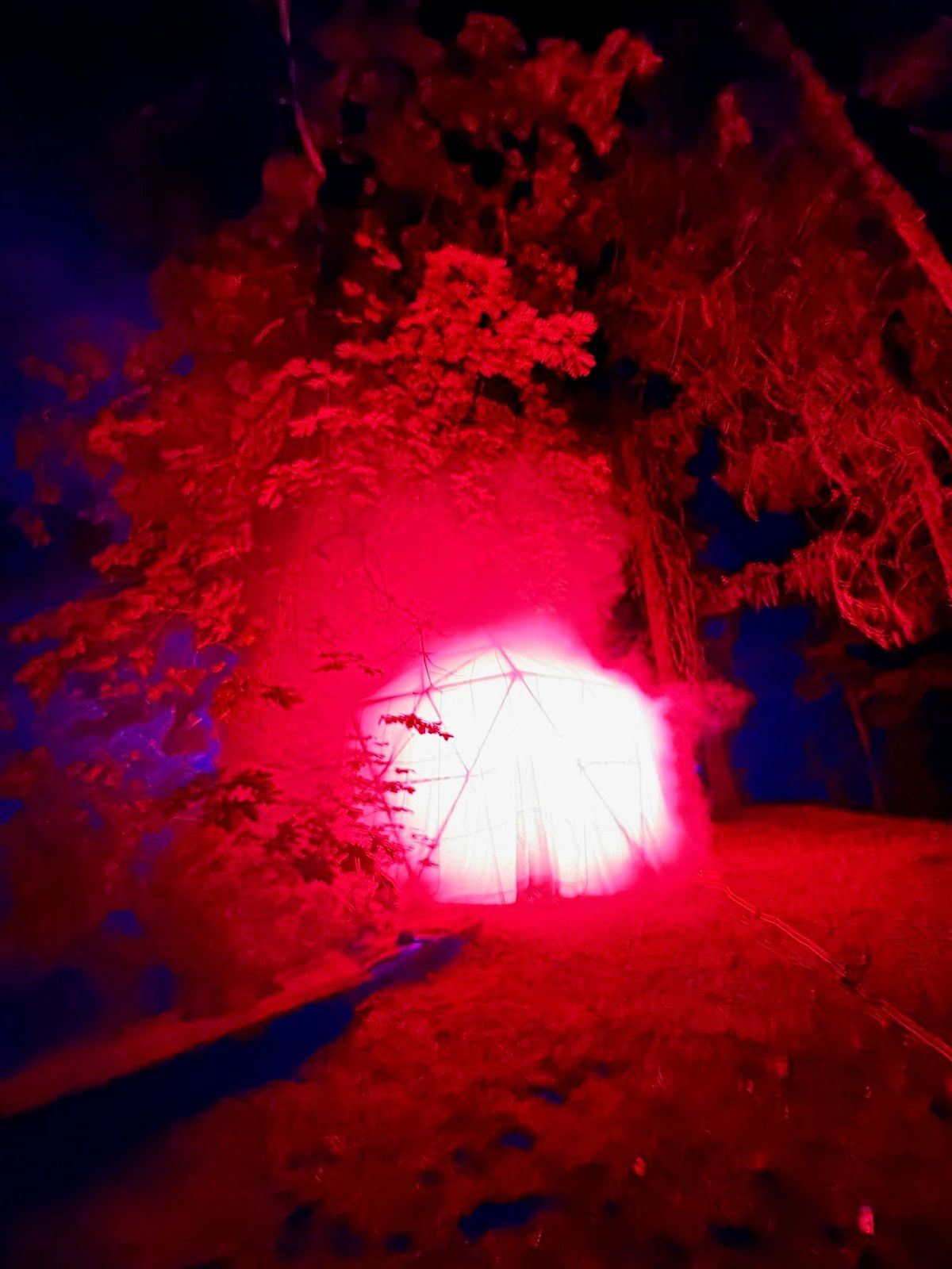 HoloDome3 glowing red through its parachute skin between the trees at night, seen from the path